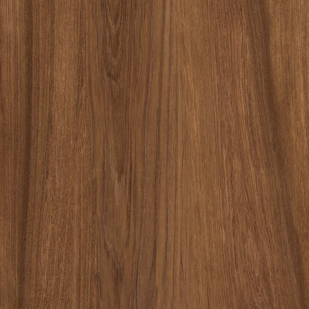 Ferara Brown Kia