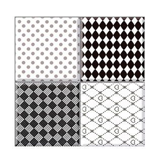 VS-502 BLACK & WHITE Centro